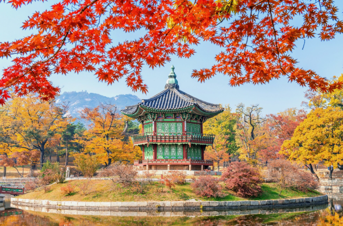 Виза в Южную Корею — помощь в оформлении и подготовке документов | Слетать.ру - ваш отдых начинается здесь!